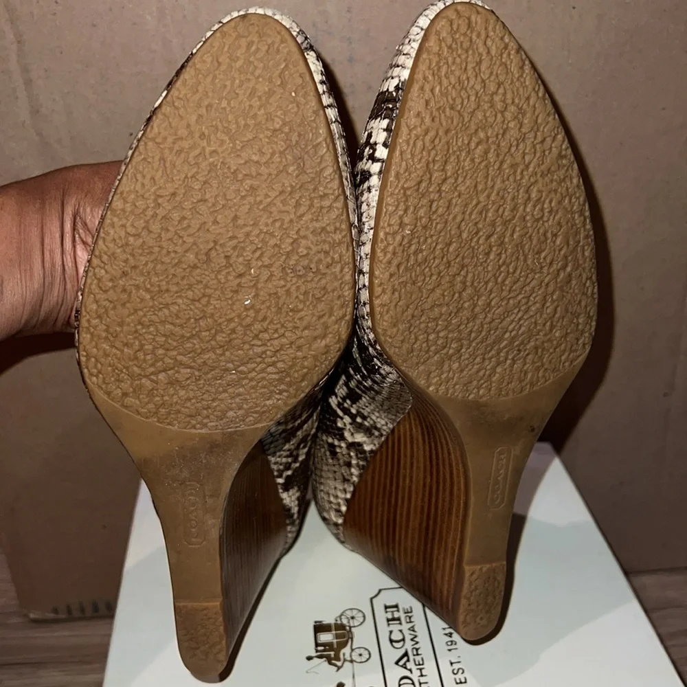 Coach Loise Printed Python Wedge - Picture 6 of 7